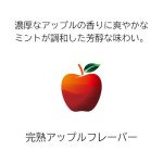 画像3: メビウス・ゴールド・レッド・ミント・ウィズ用 (3)