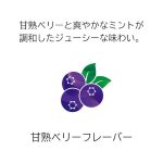 画像3: メビウス・ゴールド・パープル・ミント・ウィズ用 (3)