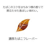 画像3: メビウス・プレミアムゴールド・レギュラー・ウィズ用 (3)